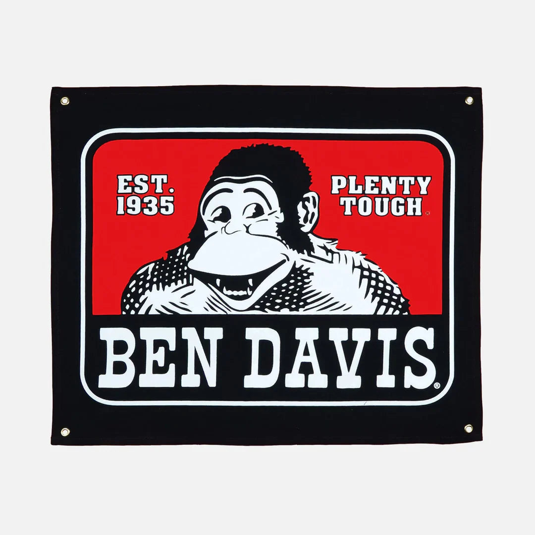 Ben Davis Banners - Chicano Spot